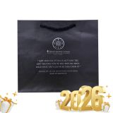 Túi giấy nhỏ 2019 (màu đen)