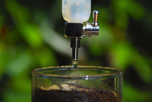 Lạ lẫm với cà phê pha lạnh “Cold Brew Coffee”